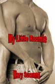 My Little Roomie (eBook, ePUB)