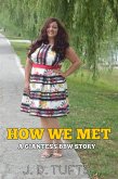 How We Met (eBook, ePUB)