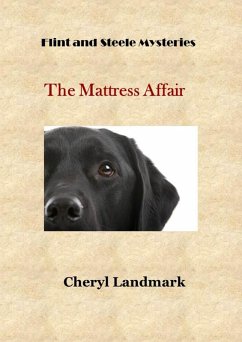 Cover The Mattress Affair (Flint and Steele Mysteries, #1) (eBook, ePUB)