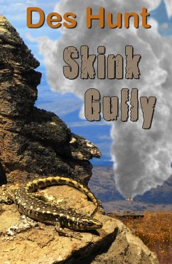 Skink Gully (eBook, ePUB) - Hunt, Des