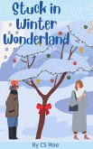 Stuck in Winter Wonderland (eBook, ePUB)