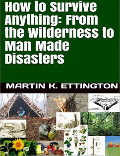 Cover How to Survive Anything: From the Wilderness to Man Made Disasters (eBook, ePUB)