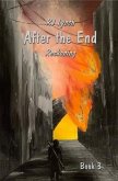 After the End (eBook, ePUB)