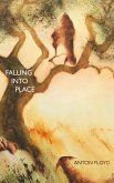 Falling into Place (eBook, ePUB)