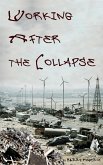 Working After the Collapse (eBook, ePUB)