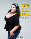 Big All Over (eBook, ePUB) Big All Over (eBook, ePUB)