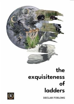 The Exquisiteness of Ladders (eBook, ePUB) - Furlong, Declan
