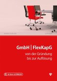 GmbH & FlexKapG (Ausgabe Österreich) (eBook, PDF)