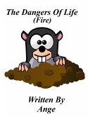 The Dangers Of Life (Fire) (eBook, ePUB)