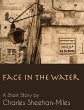 Face in the Water (A Short Story)... - Bild 1