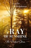 A Ray of Sunshine (eBook, ePUB)