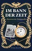 Im Bann der Zeit (eBook, ePUB)