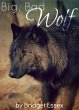 Big, Bad Wolf (eBook, ePUB) - Bild 1