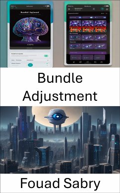 Bundle Adjustment (eBook, ePUB) - Sabry, Fouad