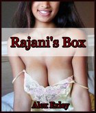 Rajani's Box (eBook, ePUB)