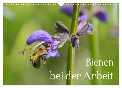 Bienen bei der Arbeit (Wandkalender 2025 DIN A3 quer), CALVENDO Monatskalender