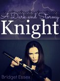 A Dark and Stormy Knight (The Knight Legends, #3) (eBook, ePUB)