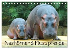 Nashörner & Flusspferde (Tischkalender 2025 DIN A5 quer), CALVENDO Monatskalender