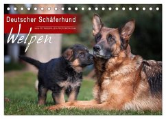 Deutscher Schäferhund - Welpen (Tischkalender 2025 DIN A5 quer), CALVENDO Monatskalender