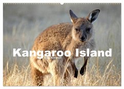 Kangaroo Island (Wandkalender 2025 DIN A2 quer), CALVENDO Monatskalender