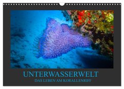 Unterwasserwelt - Das Leben am Korallenriff (Wandkalender 2025 DIN A3 quer), CALVENDO Monatskalender