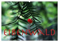 Eibenwald (Wandkalender 2025 DIN A2 quer), CALVENDO Monatskalender