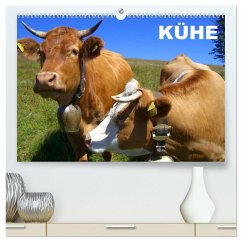 Kühe / Geburtstagskalender (hochwertiger Premium Wandkalender 2025 DIN A2 quer), Kunstdruck in Hochglanz