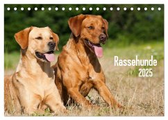 Rassehunde (Tischkalender 2025 DIN A5 quer), CALVENDO Monatskalender