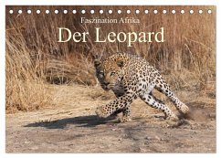 Faszination Afrika: Der Leopard (Tischkalender 2025 DIN A5 quer), CALVENDO Monatskalender - Calvendo;Weiß, Elmar