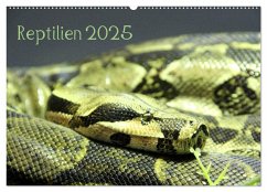 Reptilien 2025 (Wandkalender 2025 DIN A2 quer), CALVENDO Monatskalender