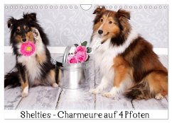 Shelties : Charmeure auf 4 Pfoten (Wandkalender 2025 DIN A4 quer), CALVENDO Monatskalender - Calvendo;Reiß - Seibert, Marion