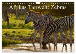 Afrikas Tierwelt: Zebras (Wandkalender 2025 DIN A4 quer), CALVENDO Monatskalender - Calvendo;Voß, Michael