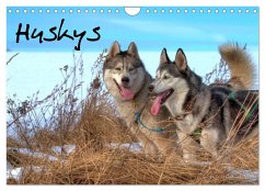 Huskys (Wandkalender 2025 DIN A4 quer), CALVENDO Monatskalender