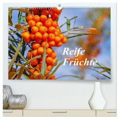 Reife Früchte (hochwertiger Premium Wandkalender 2025 DIN A2 quer), Kunstdruck in Hochglanz