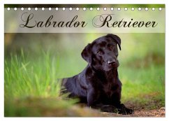 Labrador Retriever (Tischkalender 2025 DIN A5 quer), CALVENDO Monatskalender