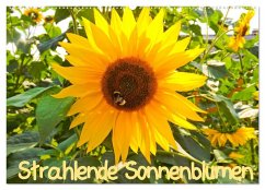 Strahlende Sonnenblumen / CH - Version (Wandkalender 2025 DIN A2 quer), CALVENDO Monatskalender