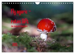 Fly agaric - rotes Gift (Wandkalender 2025 DIN A4 quer), CALVENDO Monatskalender