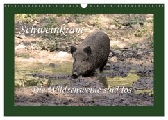 Schweinkram - Die Wildschweine sind los (Wandkalender 2025 DIN A3 quer), CALVENDO Monatskalender - Calvendo;Lindert-Rottke, Antje