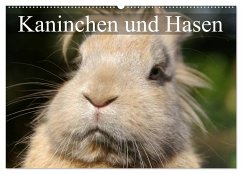 Kaninchen und Hasen (Wandkalender 2025 DIN A2 quer), CALVENDO Monatskalender