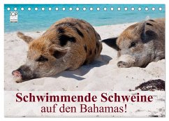 Schwimmende Schweine auf den Bahamas! (Tischkalender 2025 DIN A5 quer), CALVENDO Monatskalender