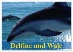 Delfine und Wale (Wandkalender 2025 DIN A2 quer), CALVENDO Monatskalender