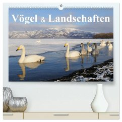 Vögel & Landschaften (hochwertiger Premium Wandkalender 2025 DIN A2 quer), Kunstdruck in Hochglanz