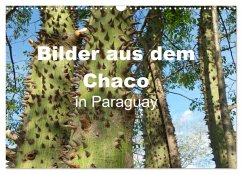 Bilder aus dem Chaco in Paraguay (Wandkalender 2025 DIN A3 quer), CALVENDO Monatskalender