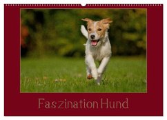 Faszination Hund (Wandkalender 2025 DIN A2 quer), CALVENDO Monatskalender - Calvendo;Bischof, Tierfotografie Bischof, Melanie