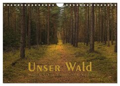 Unser Wald - Magische Sichten in norddeutsche Wälder (Wandkalender 2025 DIN A4 quer), CALVENDO Monatskalender