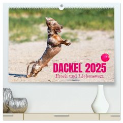 DACKEL 2025 Frech und Liebenwert (hochwertiger Premium Wandkalender 2025 DIN A2 quer), Kunstdruck in Hochglanz