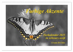 Farbige Akzente - Tierkalender 2025 in schwarz-weiß (Wandkalender 2025 DIN A2 quer), CALVENDO Monatskalender - Calvendo;Di Chito, Ursula