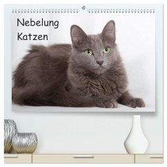 Nebelung Katzen (hochwertiger Premium Wandkalender 2025 DIN A2 quer), Kunstdruck in Hochglanz - Calvendo;Verena Scholze, Fotodesign