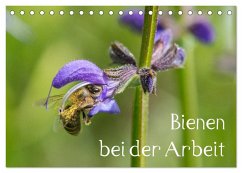 Bienen bei der Arbeit (Tischkalender 2025 DIN A5 quer), CALVENDO Monatskalender
