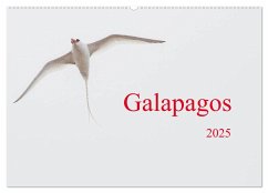 Galapagos (Wandkalender 2025 DIN A2 quer), CALVENDO Monatskalender